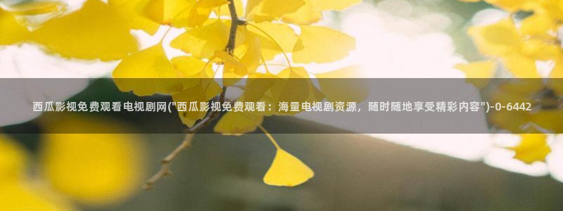 西瓜影院播放器