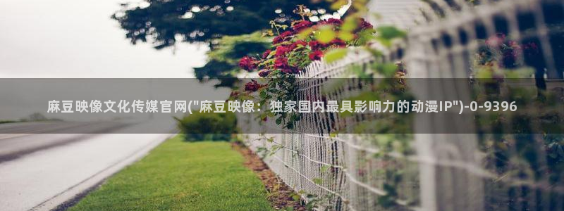 麻豆视频页面结构