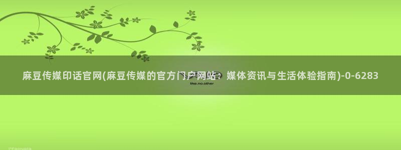 麻豆视频内容聚合