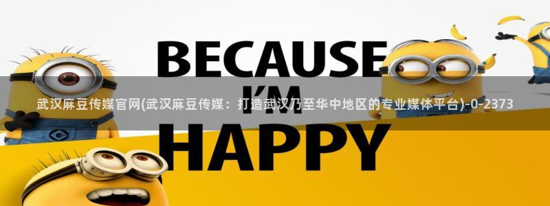麻豆短剧