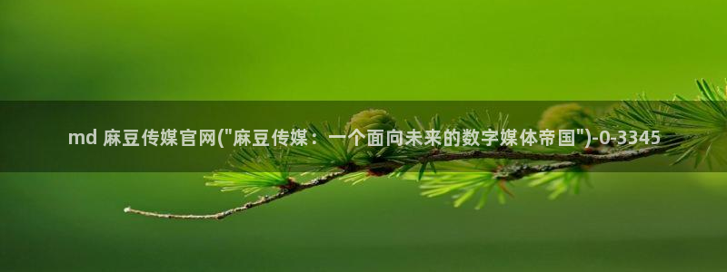 麻豆视频精准词