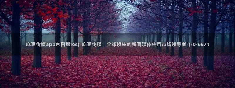 麻豆精选描述
