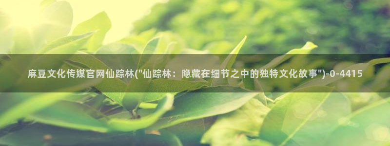 麻豆视频高流量词