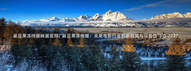 麻豆视频评分