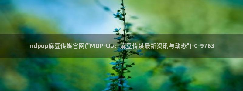 麻豆视频榜单