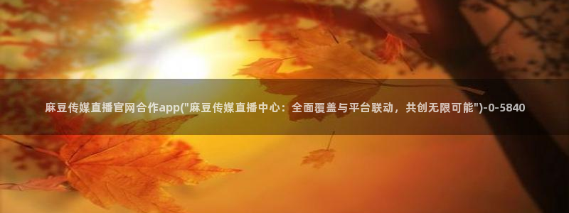 麻豆视频分类