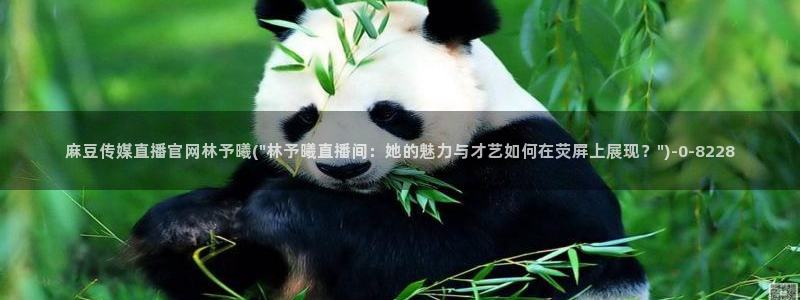 麻豆影视站