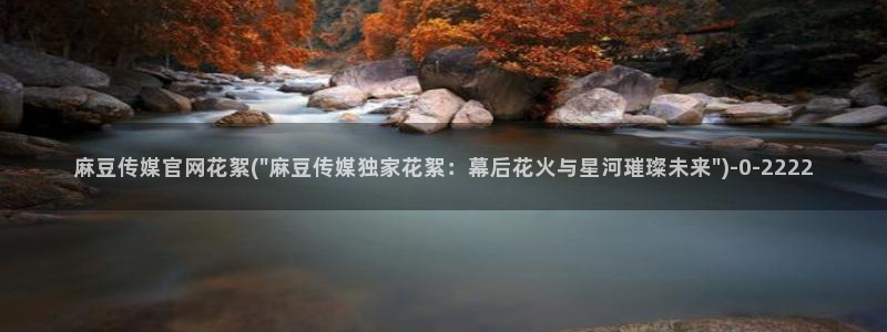 麻豆观看描述