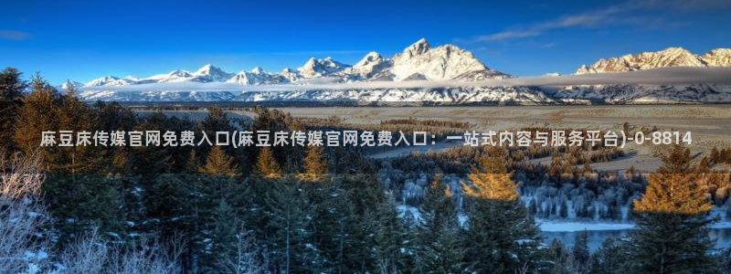 麻豆专题描述