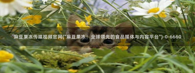 麻豆传媒新片