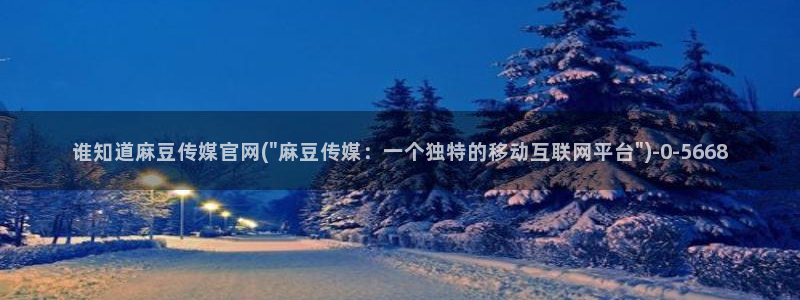 麻豆视频分类
