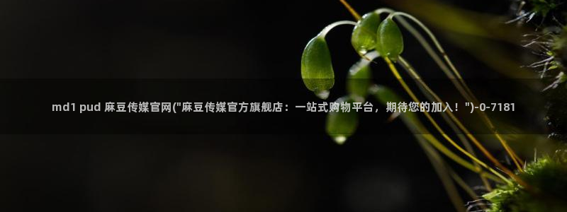 麻豆视频搜索词