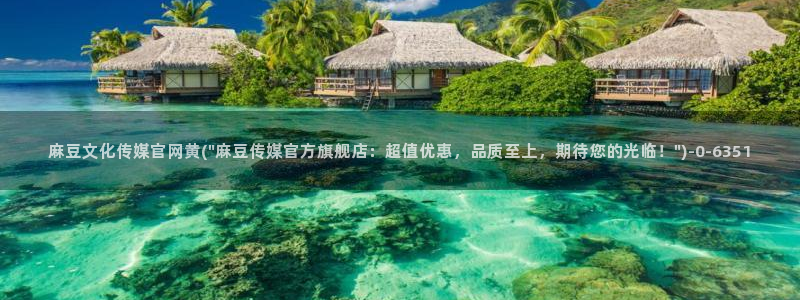 麻豆视频入口