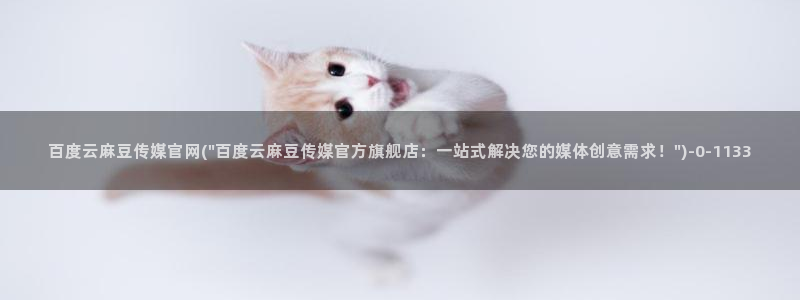 麻豆视频专题规划
