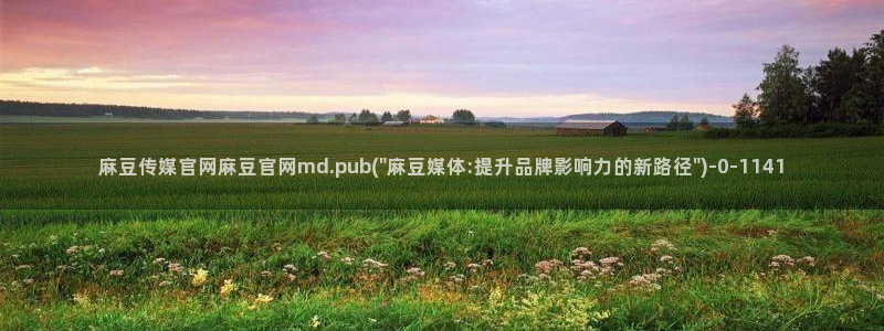 麻豆情感剧情