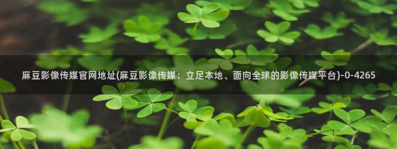 麻豆视频关键词