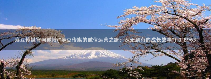 麻豆百度收录
