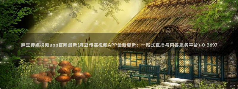 麻豆视频图片规则