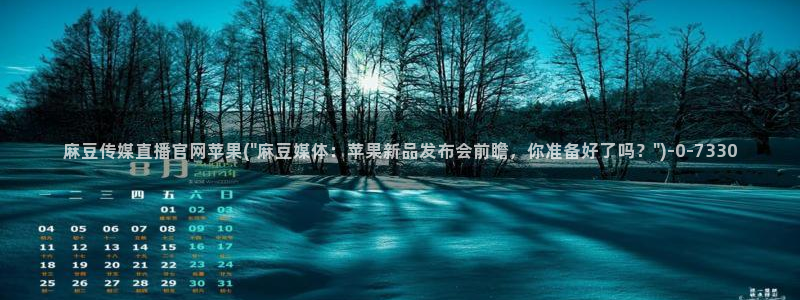 麻豆视频解说文案