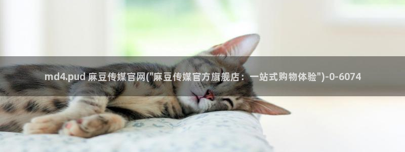 麻豆视频用户体验