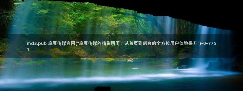 麻豆视频用户体验