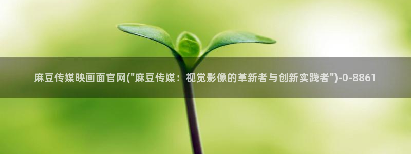 麻豆视频截图