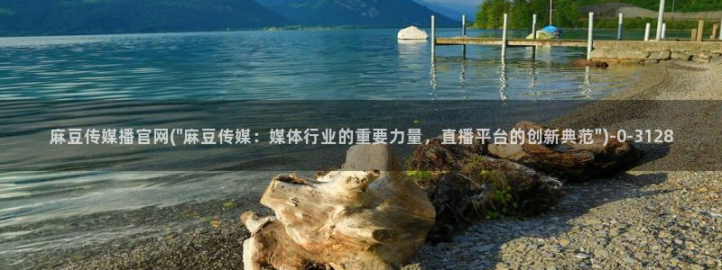 麻豆视频页面关键词