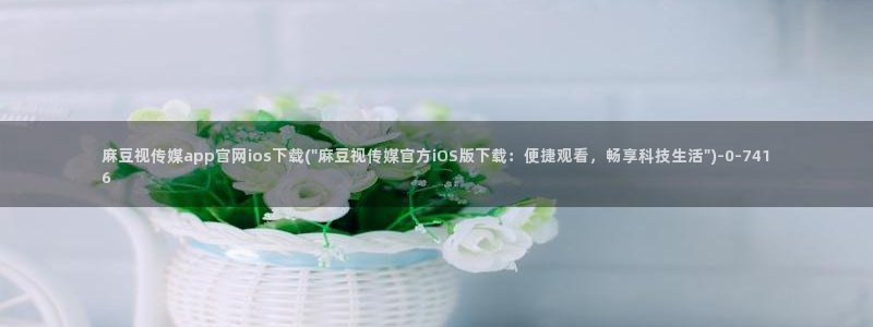 麻豆视频标题规则