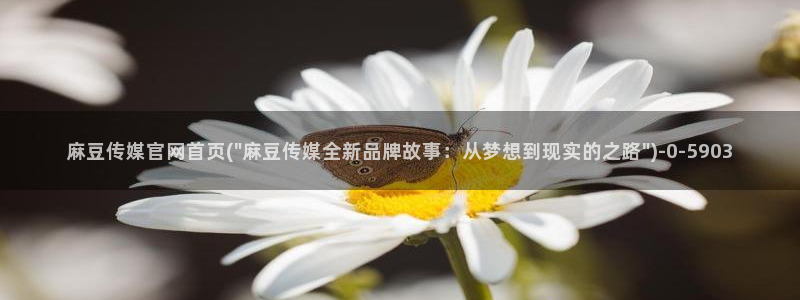 麻豆视频合集文案