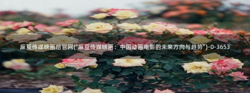 麻豆视频关于我们