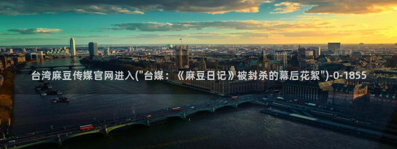 麻豆视频演员文案