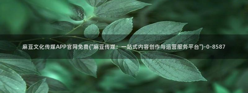 麻豆拍摄花絮