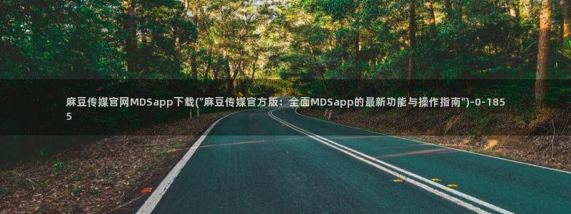 麻豆视频用户体验